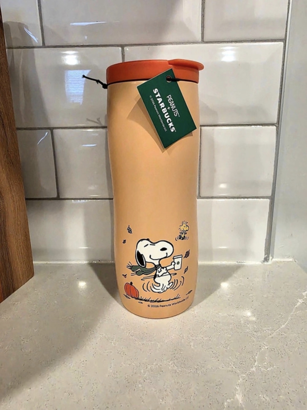 Starbucks Peanuts Stainless Steel Tumbler Pumpkin Snoopy